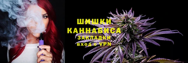 гашик Карпинск