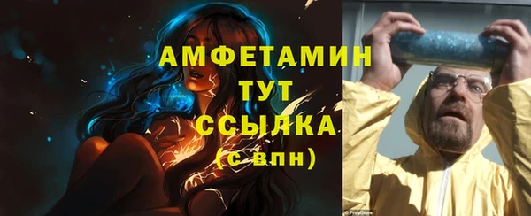 гашик Карпинск