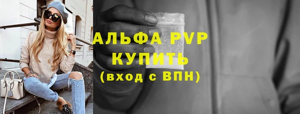 гашик Карпинск