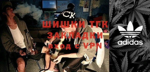гашик Карпинск