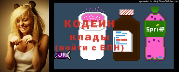 гашик Карпинск