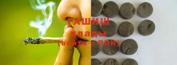 гашик Карпинск