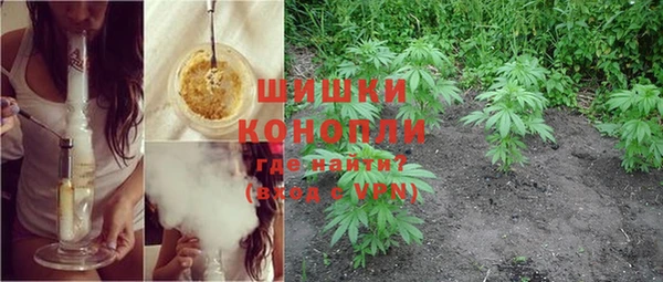 PSILOCYBIN Касимов
