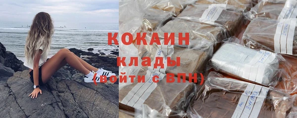 гашик Карпинск