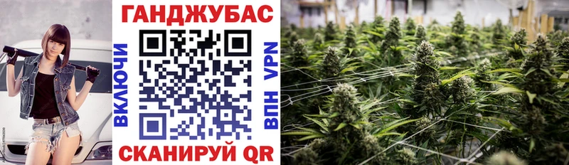 Каннабис индика  Купить где  Велиж 